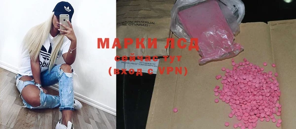 индика Шадринск