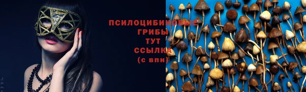 винт Алексин