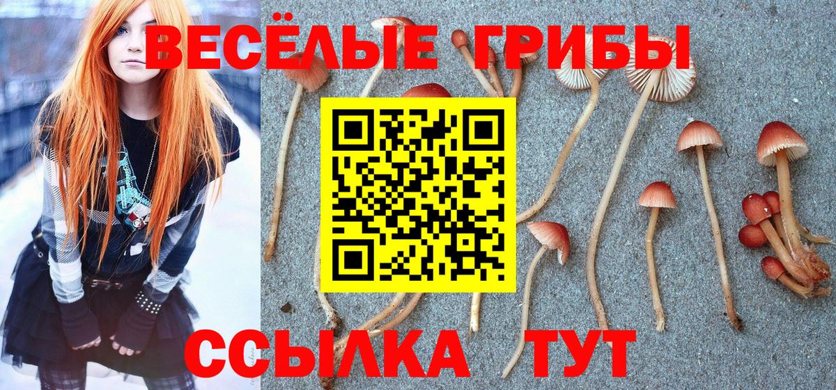 Псилоцибиновые грибы MAGIC MUSHROOMS Саранск